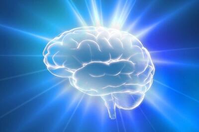  کشف ارتباط هورمون زنانه با سیستم پاداش مغز