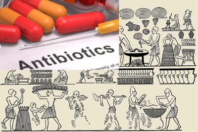  از کشف آنتی‌بیوتیک روی نان‌های کپک‌زده مصر باستان تا معرفی پنی‌سیلین