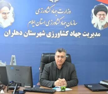  دهلران با گسترش کشاورزی کم‌آب‌بر در مسیر تولید پایدار قرار دارد/ تولید ۵۰۰ هزار تن محصول با وجود تنش آبی