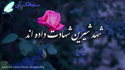  کلیپ تسلیت وفات حضرت زهرا س | استوری شهادت حضرت فاطمه بنت محمد