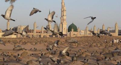  چرا روایت دقیقی از زمان شهادت حضرت زهرا(س) نیست؟