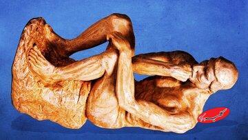  گاوهایی که گورخر شدند / یک ابتکار ژاپنی - کلبه سرگرمی