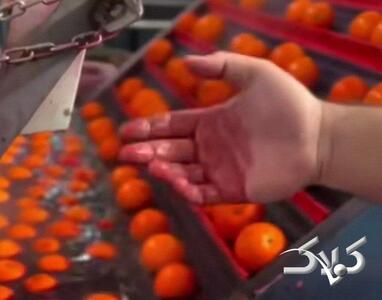  پرتغال‌های رنگ شده چقدر خطرناکند؟ - مجله اینترنتی کولاک