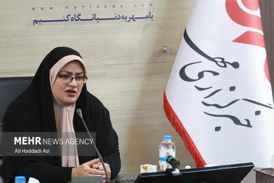  کار نگارش من با روایت ناوتیپ ۱۳ امیرالمومنین آغاز شد