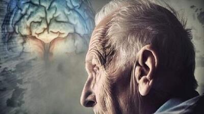  میگنا - چطور «آلودگی هوا» مغز را دچار «پیری زودرس» می‌کند؟