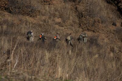  جنگل و مفهوم وطن