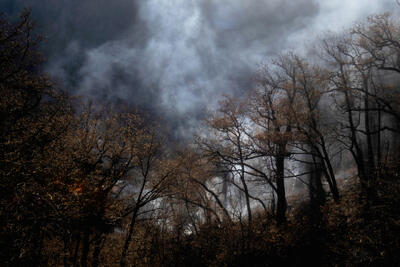  میراث عصر یخبندان