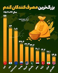  اینفوگرافی/ کدام کشورها بزرگ‌ترین مصرف‌کنندگان گندم هستند؟