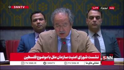  نماینده پاکستان: آتش بس در غزه از جانب اسرائیل مکررا نقض می‌شود