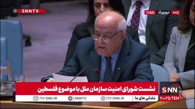  نماینده فلسطین: در کل منطقه از سوریه و لبنان تا فلسطین همواره اسرائیل در آتش جنگ بنزین می‌ریزد