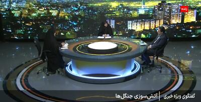  افلاطونی: حدس ما در مورد حریق الیت، عامل انسانی است + فیلم