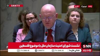  اعتراض روسیه در سازمان ملل به نقض آتش‌بس توسط اسرائیل و انتقاد از نواقص طرح ترامپ