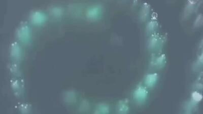  در قطب جنوب، یک عکاس پدیده‌ای منحصر به فرد را ثبت کرد: دو نهنگ گوژپشت، طرح مارپیچی طلایی و بی‌نقص از حباب‌ها ایجاد می‌کردند.