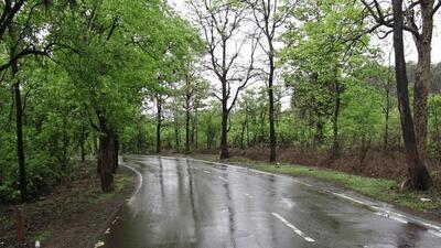  خبر خوب آسمان برای جنگل الیت و تهرانی‌ها + نقشه