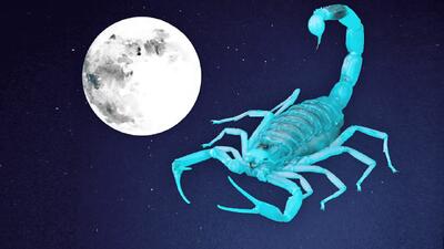  روزهای قمر در عقرب آذر ۱۴۰۴+ کارهای ممنوعه و جدول ساعت