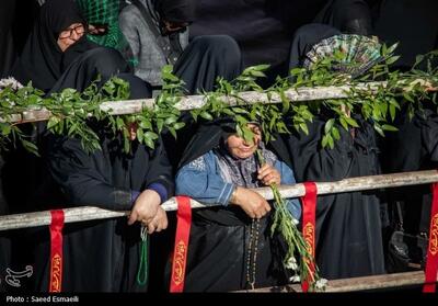  9 پهلوان گمنام روی دست مردم قزوین تشییع شدند - تسنیم
