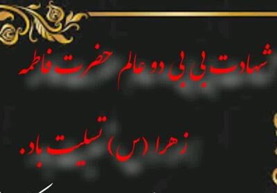  فاطمه زهرا (س)؛ اسوه بی‌بدیل عصمت و جهاد فرهنگی در تاریخ بشریت - تسنیم