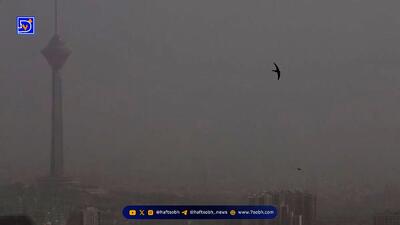  هوای تهران در شرایط خطرناک | ادارات تعطیل می‌شود