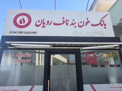  ذخیره‌سازی بیش از ۱۴ هزار نمونه خون بند ناف در همدان