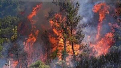  عامل انسانی در وقوع آتش‌سوزی‌ها قطعی است