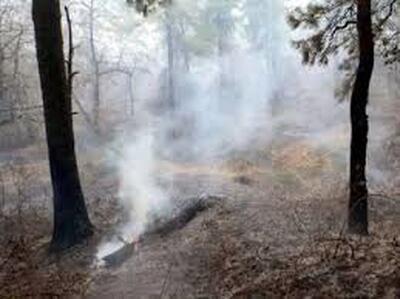  عکس یادگاری یک مسئول درحال خاموش کردن آتش جنگل!