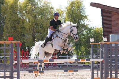  درخشش سوارکاران فارس در مسابقات اصفهان