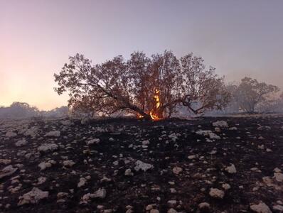  مهار آتش‌سوزی (شره زول)، شهرستان ایوان