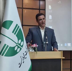  هشدار جدی محیط زیست البرز به همه دستگاه‌ها / هیچ تخلفی در حوزه آلودگی هوا قابل اغماض نیست