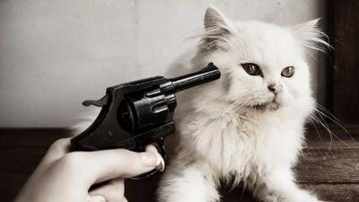  چرا دلمان می‌خواهد چیزهای ناز را فشار دهیم؟