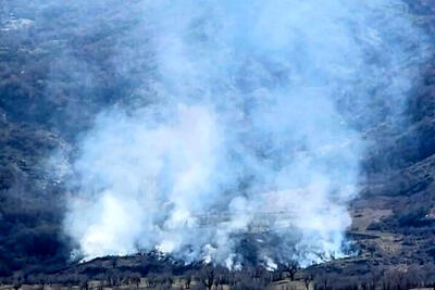  سوزاندن جنگل برای خوردن برگر زغالی!/ شکم‌چرانی به سبک قاجاری بلای جان محیط زیست شده است