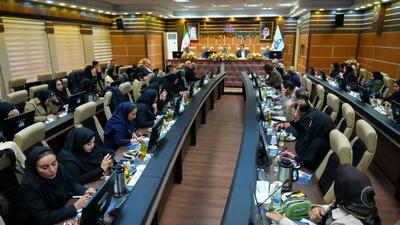  نخستین بومی‌سازی دانش تعمیرات اساسی واحد RFCC در پالایشگاه شازند