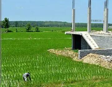  شناسایی 1662 فقره تغییر کاربری غیرمجاز در اراضی کشاورزی قزوین