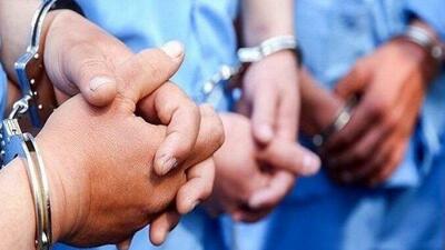  دستگیری عاملان ضرب و جرح زوج سالخورده