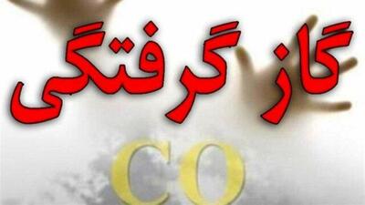  دودکش بخاری حادثه ساز شد