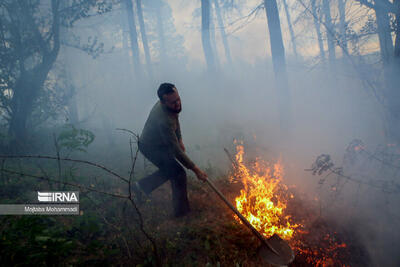  روند نگران‌کننده حریق در جنگل‌های کشور/ ثبت ۲۱۰۲ آتش‌سوزی در سال جاری