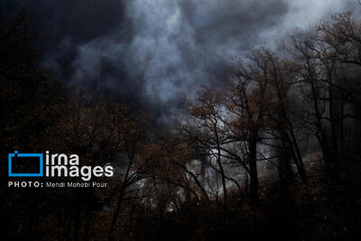  مازندران در محاصره آتش؛ از مراتع آمل تا جنگل‌های کلاردشت