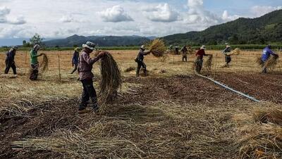  تهدید خاموش در دل رودخانه‌های آسیا