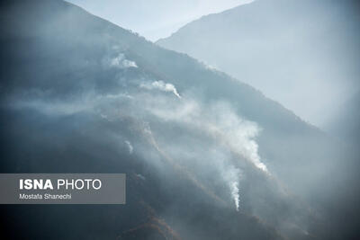  ۴۸ آتش‌نشان تهرانی در ارتفاع ۲۵۰۰ متری برای مهار آتش در جنگل‌های الیت