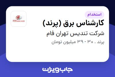  استخدام کارشناس برق (پرند) - آقا در شرکت تندیس تهران فام