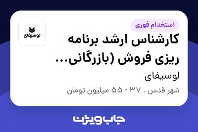  استخدام کارشناس ارشد برنامه ریزی فروش (بازرگانی پوشاک) - خانم در لوسیفای