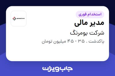  استخدام مدیر مالی در شرکت بومرنگ