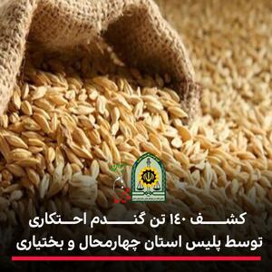  کشف ۱۴۰ تن گندم احتکاری درچهارمحال وبختیاری