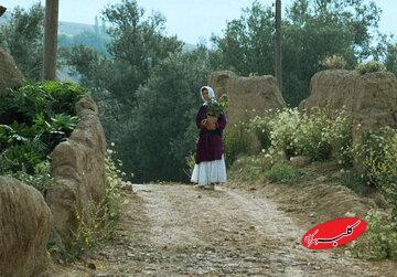  جشنواره جهانی فیلم فجر با نمایش فیلمی از عباس کیارستمی افتتاح می‌شود - کلبه سرگرمی