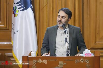  پیرهادی: دستگاه‌ها به قانون هوای پاک پاسخگو نیستند
