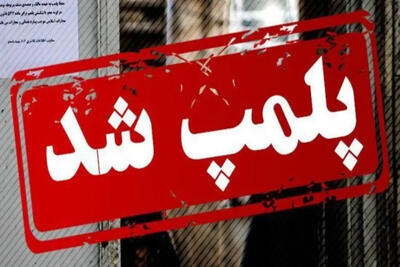  فدراسیون ژیمناستیک پلمب شد
