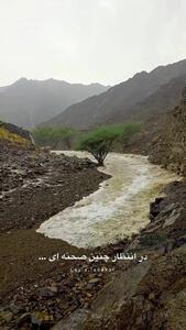  فیلم جاری شدن آب در بستر خشک رودخانه