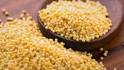  تعبیر خواب ارزن؛ معنی خواب دانه دادن به پرندگان و تعابیر آن