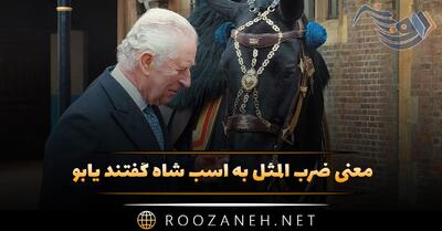  معنی ضرب المثل به اسب شاه گفتند یابو + داستان و انشا