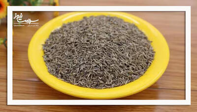  یک قاشق زیره سیاه در روز، راهی طبیعی برای کاهش کلسترول