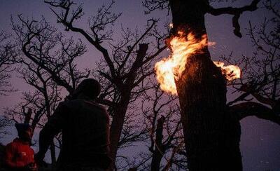  منشا انسانی آتش سوزی الیت قطعی است - سلام نو